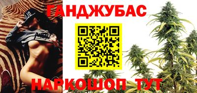 сатива Ачхой-Мартан