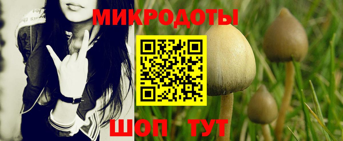 Псилоцибиновые грибы прущие грибы  Вход с VPN  Галлюциногенные грибы Magic Shrooms  Брянск 
