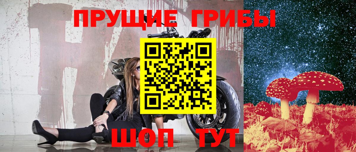 Псилоцибиновые грибы MAGIC MUSHROOMS Брянск